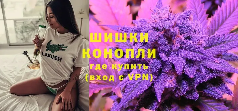 Бошки Шишки SATIVA & INDICA  цены наркотик  Пыталово 